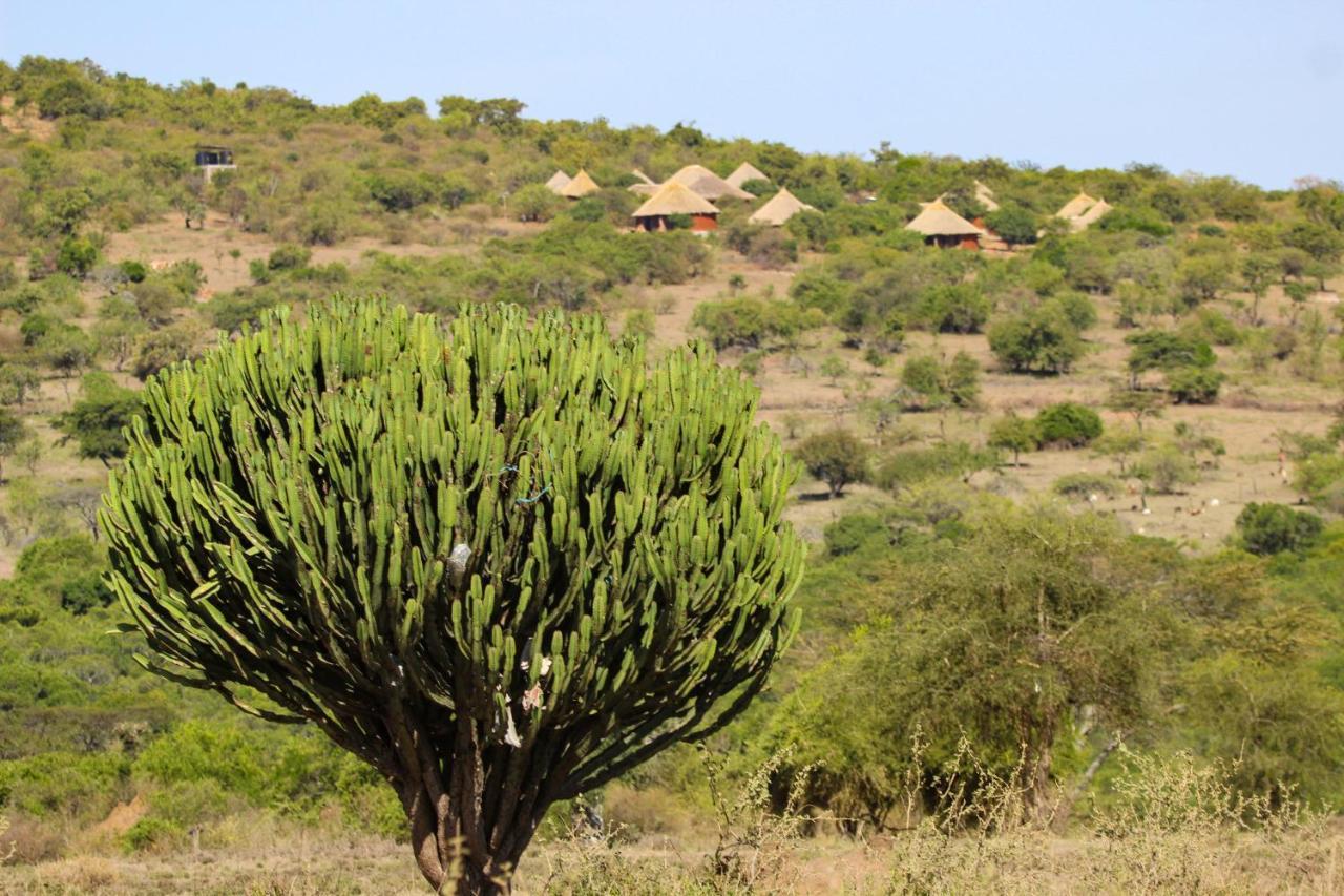Africa Safari Maasai Boma Camping Serengeti Dış mekan fotoğraf