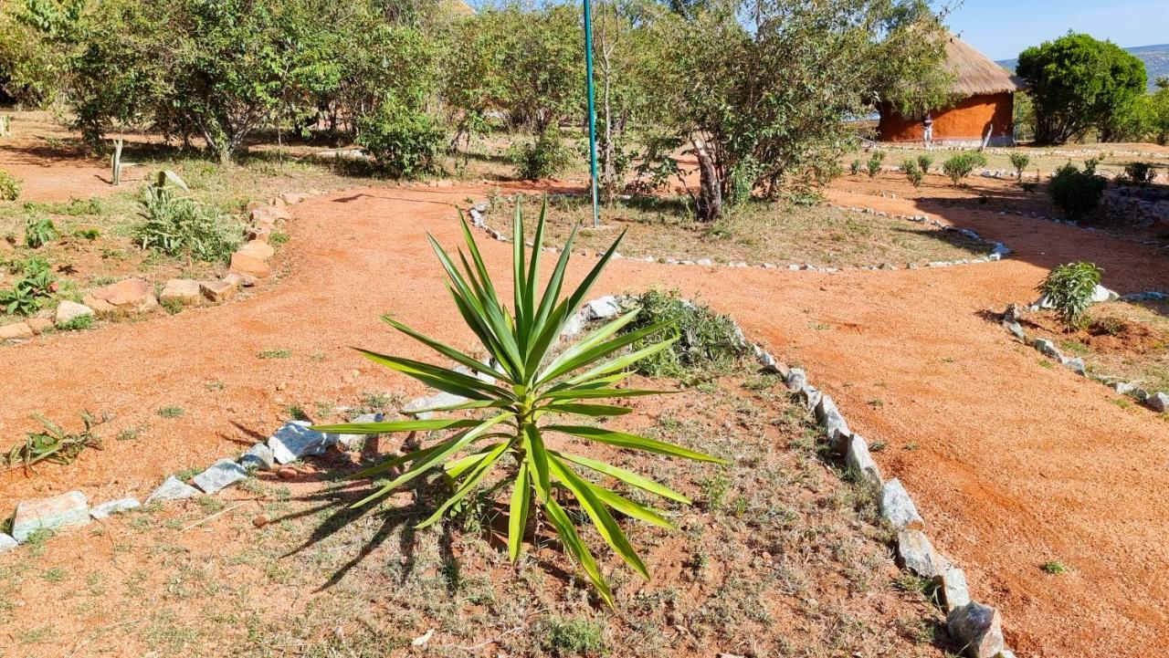 Africa Safari Maasai Boma Camping Serengeti Dış mekan fotoğraf